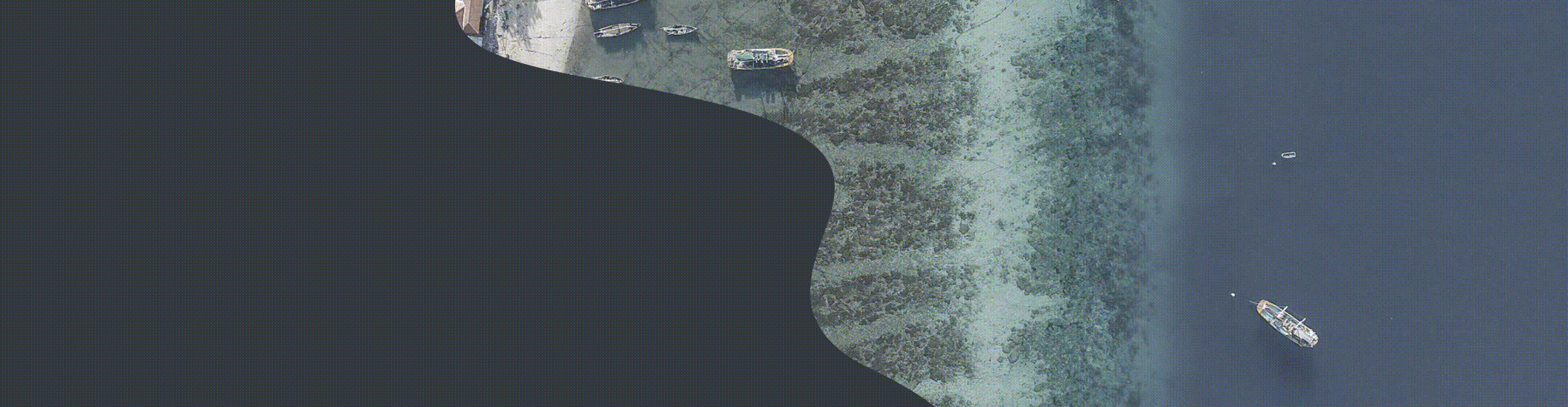 Workflow illustration